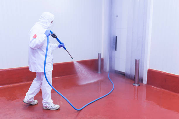 Best Spring Cleaning  in Monaca, PA